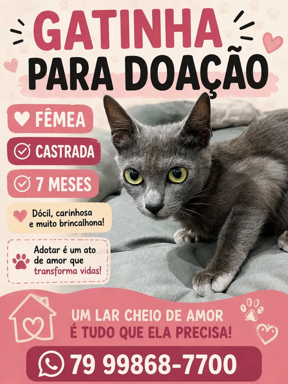 Gatinha para doação 
