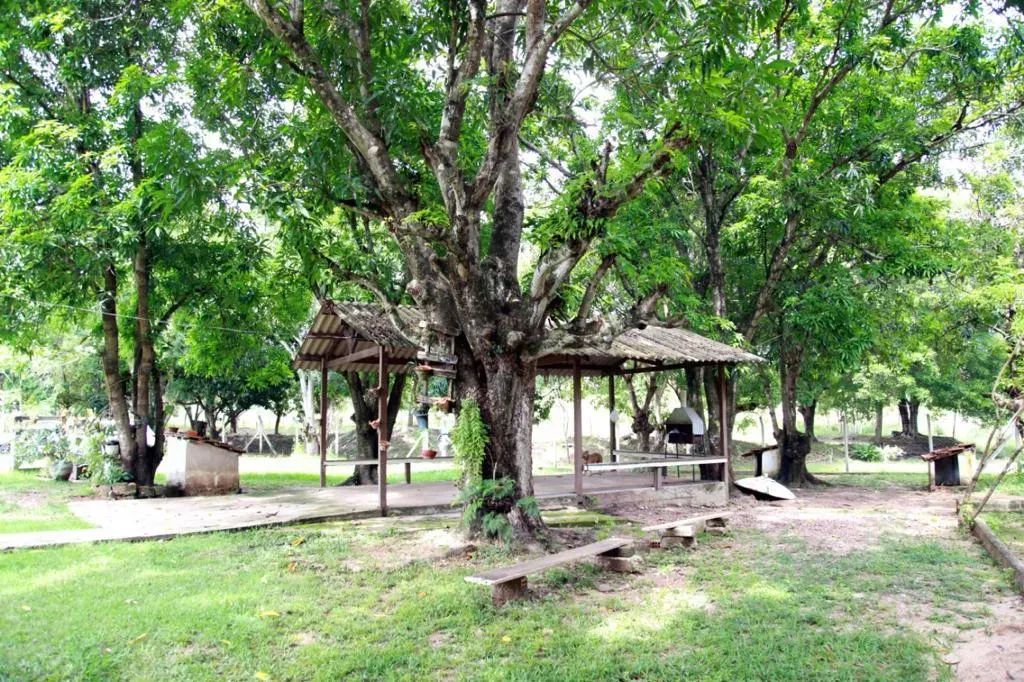 CHÁCARA  SEU REFÚGIO PRIVADO DENTRO DE CUIABÁ - Foto 2