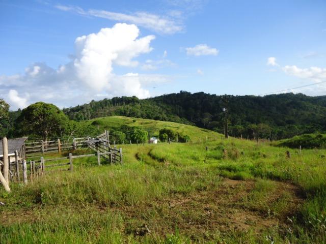 Fazenda Ilhéus Bahia/ Sul da Bahia - Foto 14