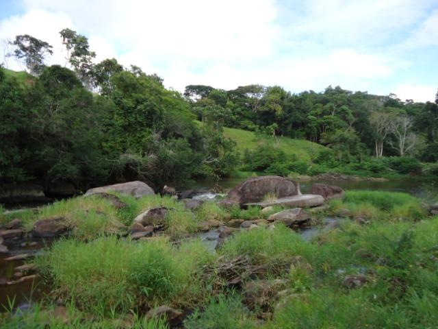 Fazenda Ilhéus Bahia/ Sul da Bahia - Foto 18