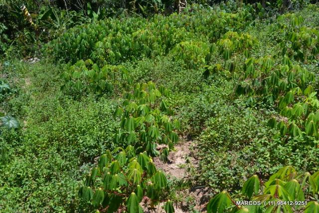 Chácara com 10.000 m² em Mogi das Cruzes - Foto 12