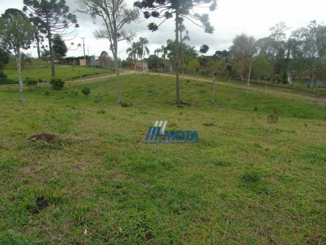 Chácara condomínio fechado são josé dos pinhais - Foto 19