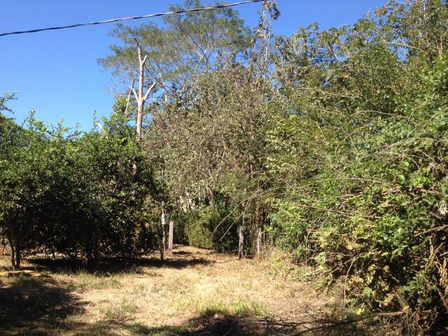 Pesqueiro região de Santo Antonio Do leverger - Foto 20