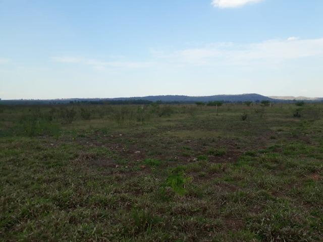 Fazenda 1000 Hectares para Lavoura em Bonito