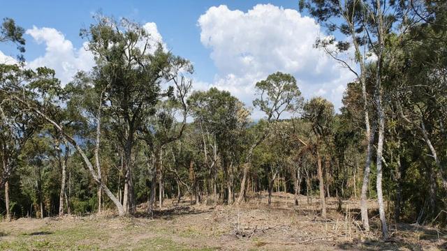 Sitio em Urubici / chácara em Urubici /próximo a Rio Rufino - Foto 12