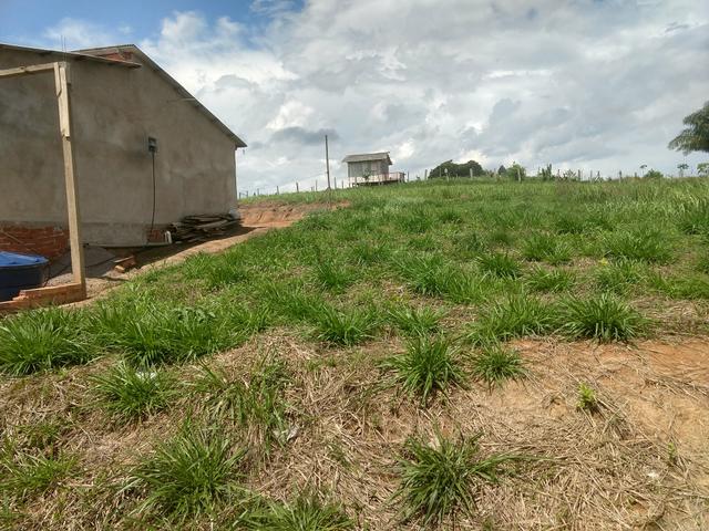 Vende-se um terreno no Ramal São João - Foto 2