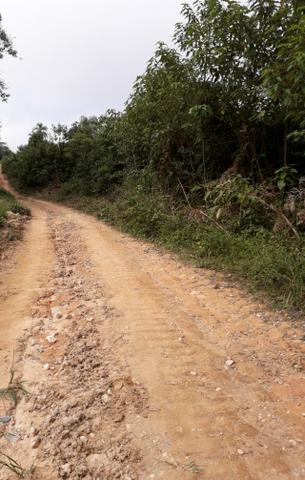 Fazenda de 62hectares em campo Largo - Foto 10