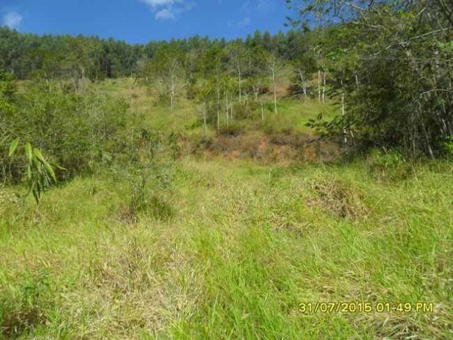 1683/Terreno de 3,19 ha com linda cachoeira e ótima localização - Foto 14