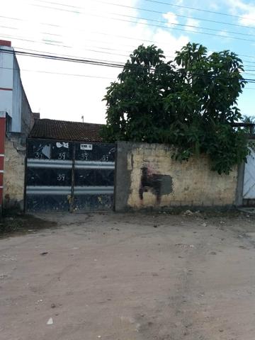 No Precinho pra vender logo - Foto 3