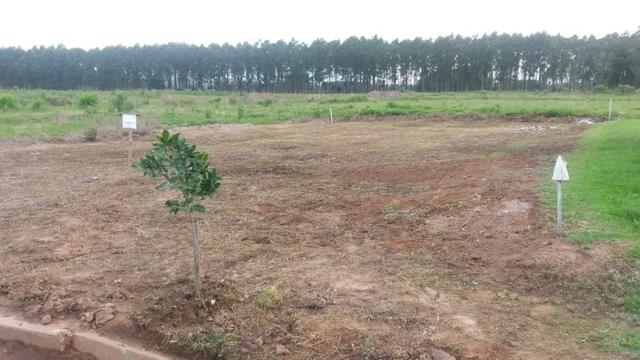 Terreno em Passo do Sobrado RS - Foto 3