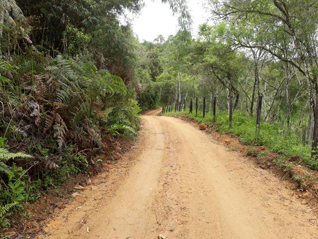 VENDO LINDA CHÁCRINHA DE 2.000m2° NA REPRESA DO CAPIVARI !!! - Foto 6