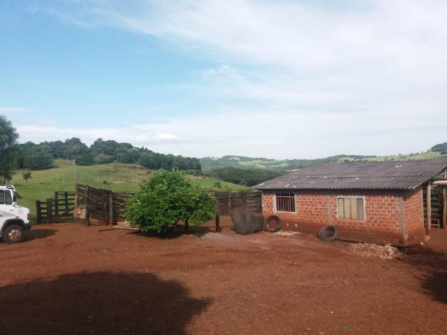 Área rural localizado na cidade de Lindoeste-PR - Foto 4