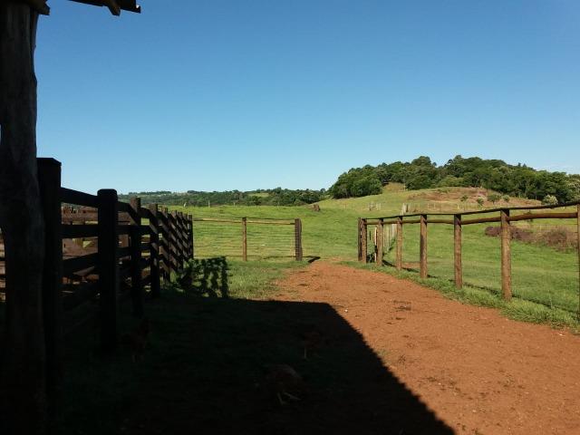 Área rural localizado na cidade de Lindoeste-PR - Foto 6