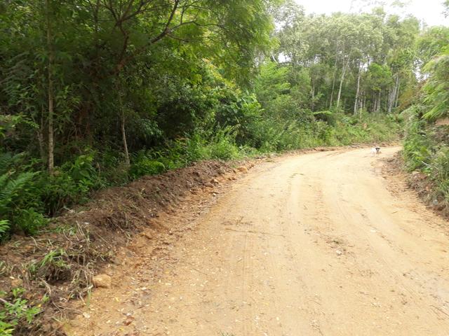 VENDO LINDA CHÁCRINHA DE 2.000m2° NA REPRESA DO CAPIVARI !!! - Foto 16