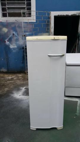 Freezer Vertical