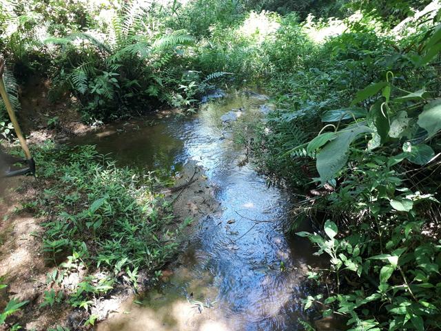 VENDO LINDA CHÁCRINHA DE 2.000m2° NA REPRESA DO CAPIVARI !!! - Foto 8