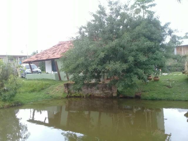 Lindo sitio Imaruí figueira grande - Foto 8