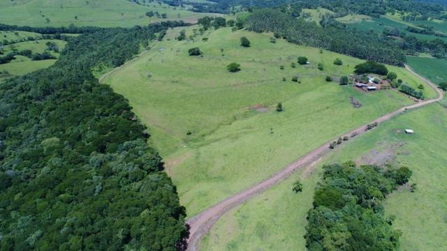 Área rural localizado na cidade de Lindoeste-PR - Foto 18