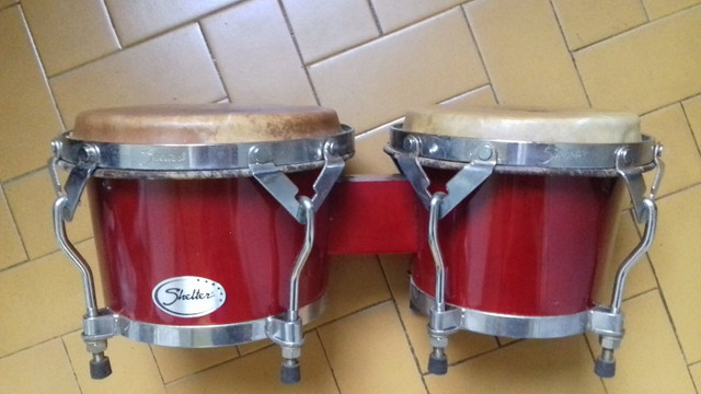 Bongo - Foto 4