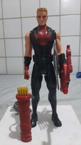 Gavião arqueiro - Foto 3