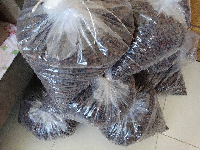 Amendoas de cacau torradas 1kg Ibiracau - Foto 4