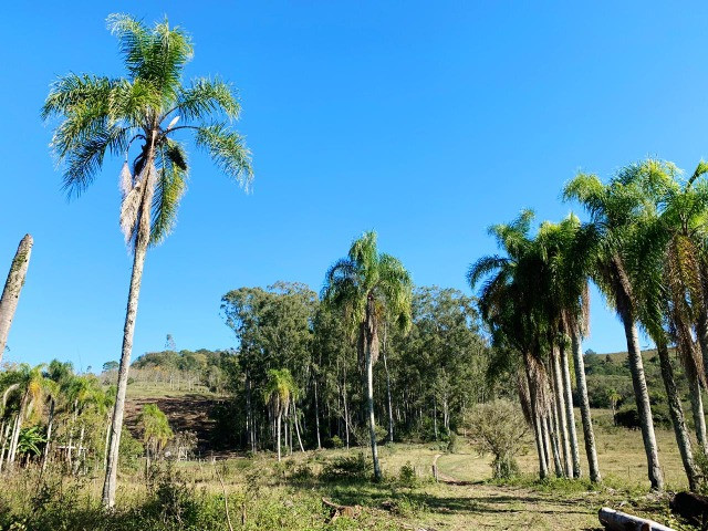 Oportunidade única, Sítios ao lado da cidade com toda infraestrutura, Whts na descrição! - Foto 2