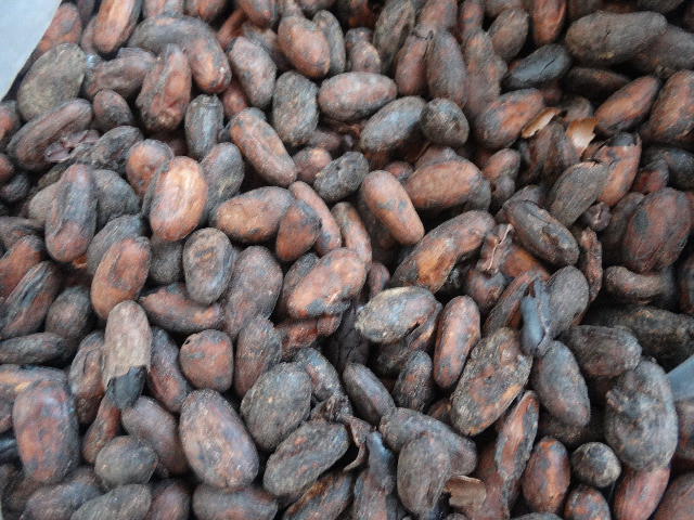 Amendoas de cacau torradas 1kg Ibiracau - Foto 6