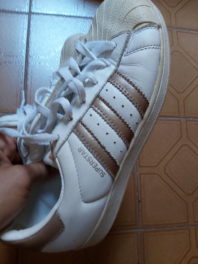 tenis superstar adidas dourado