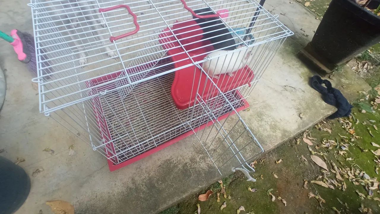 Vendo Gaiola para Coelho, Porquinho da Índia, chinchila, hamster  - Foto 3