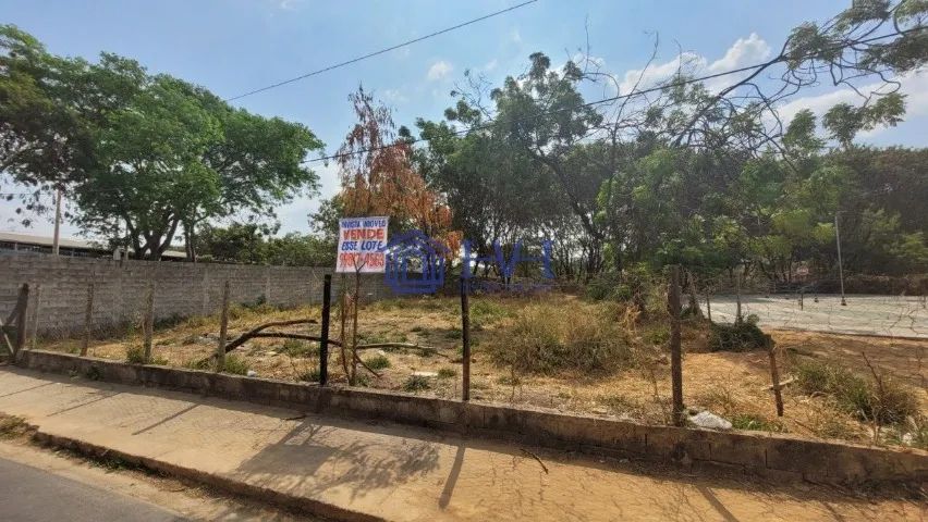 Lote com 1.156 m², excelente topografia, c/ projet - Foto 5
