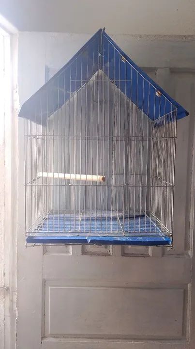 Gaiola para Pássaros - Nova - Foto 3
