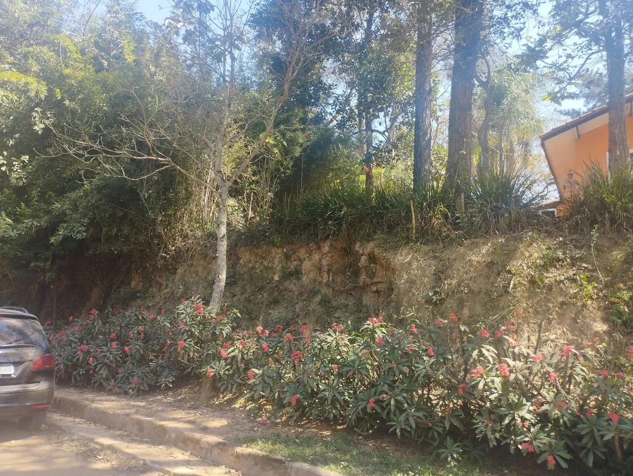 Terreno para formação de Chácara