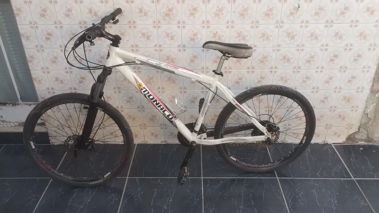 Bicicleta bike Aro 29