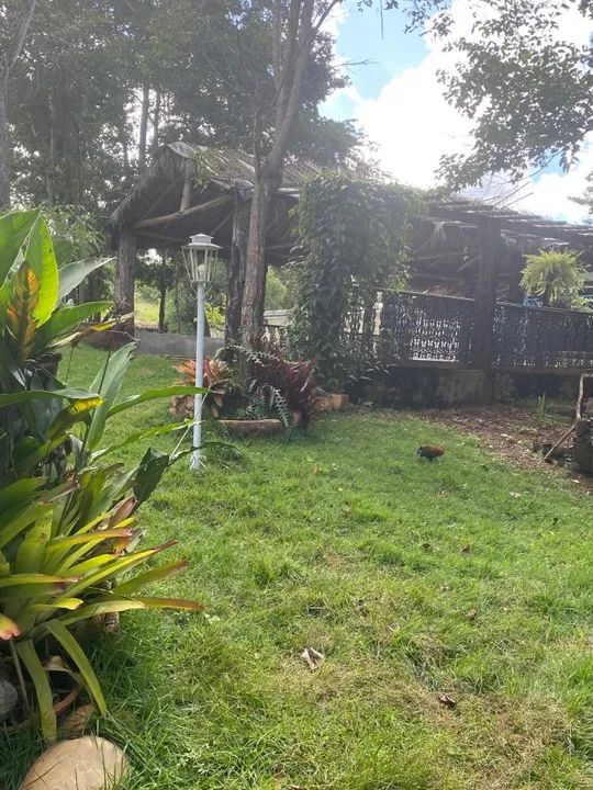 Chácara em Caldazinha com 24.000 M2. - Foto 4