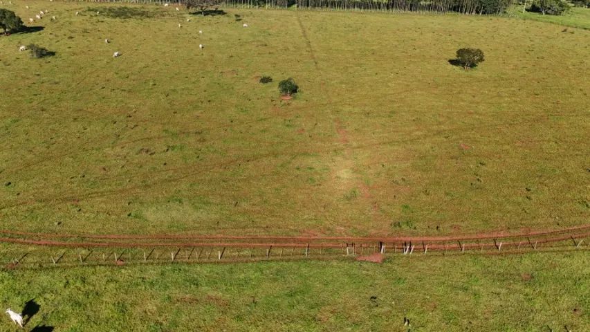 Chácara com 16 Hectares com Córrego em Campo Grande MS! - Foto 4