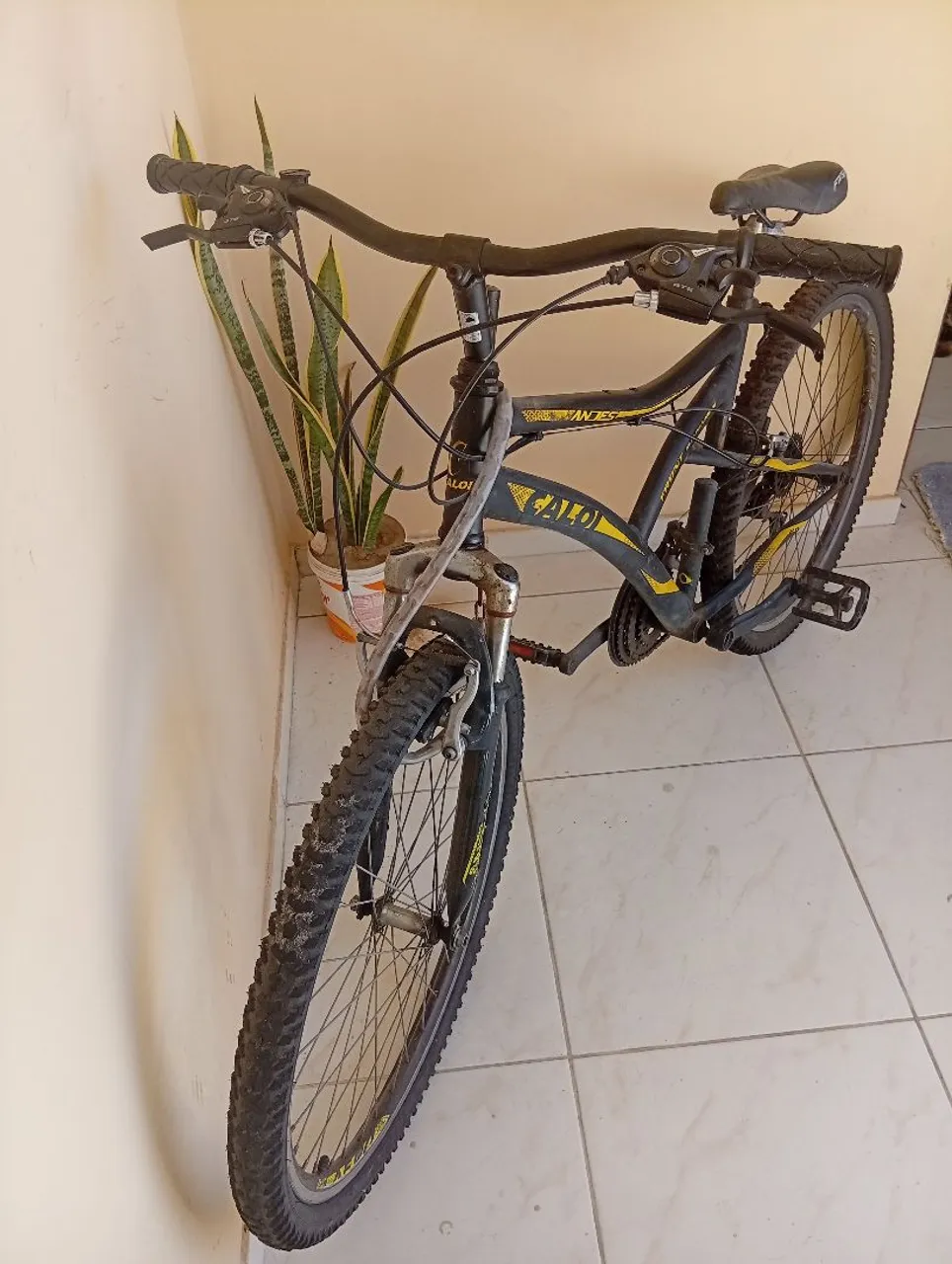 Bicicleta Caloi Andes 26 - 21 Marchas