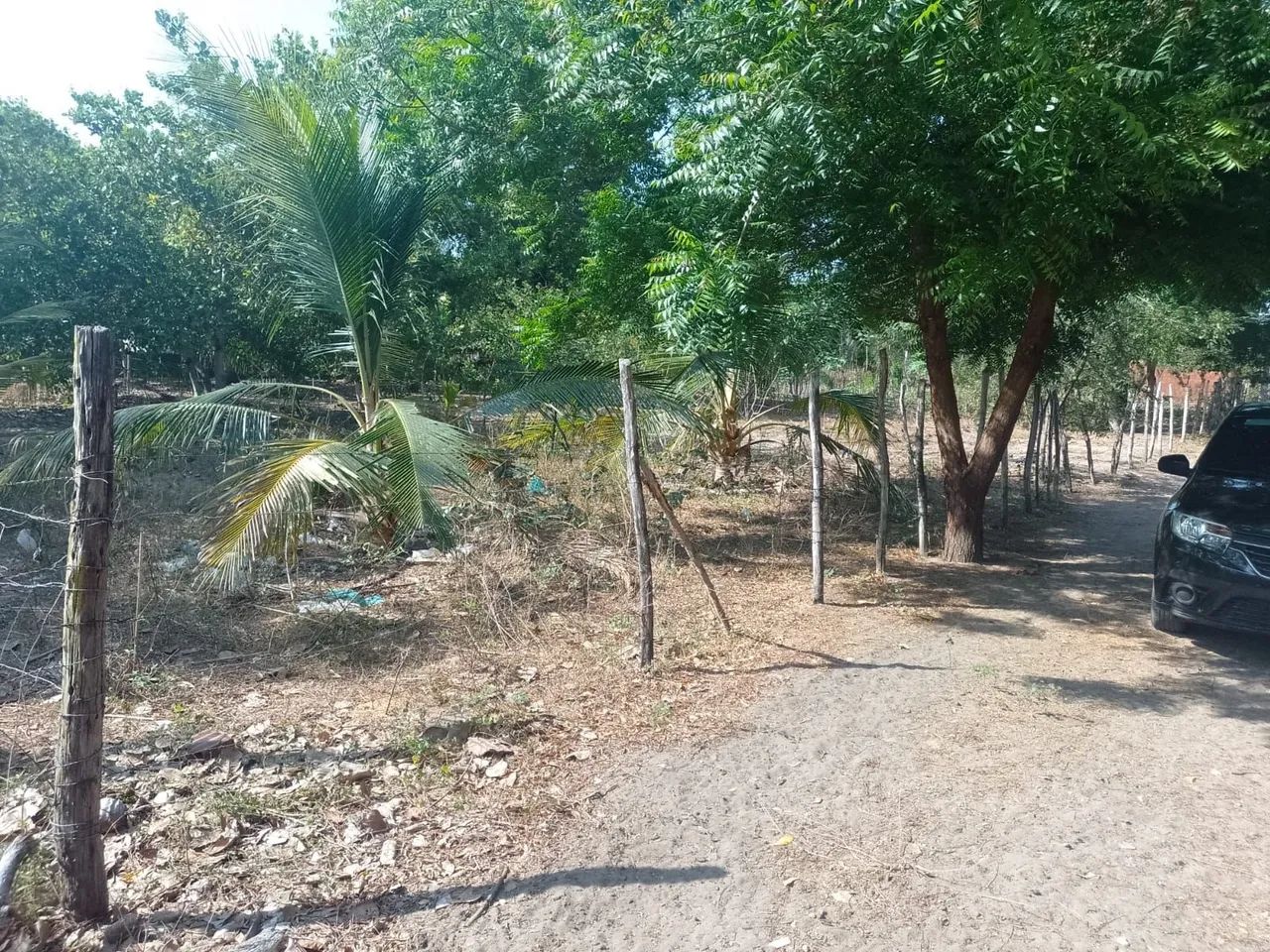 Vendo terreno em horizonte  - Foto 3