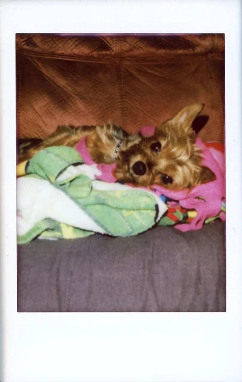 Polaroid Captiva SLR - Foto 3