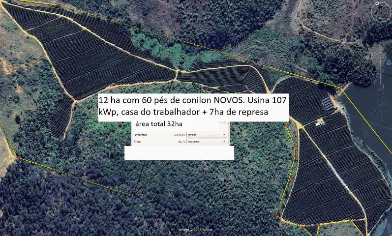 Fazenda de Café 220 Mil Pés - 4500sc de Produtividade - Foto 2