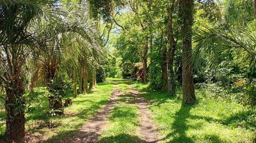 Chácara à venda em Nova Santa Rita - 1,5ha de área próximo à BR-386 REF: CS0109 - Foto 3