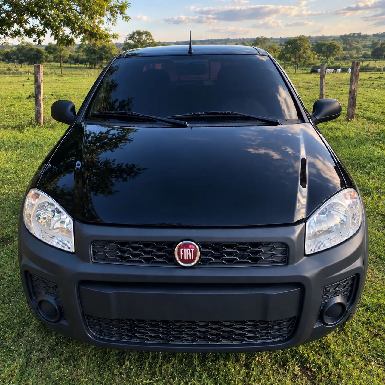 Fiat Strada CD HARD WORKING 1.4 8V FLEX 2019