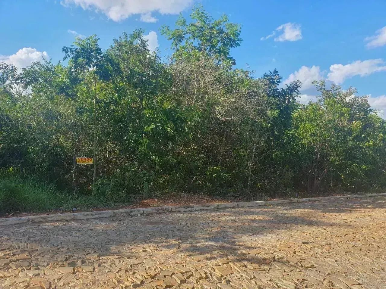 Terreno à venda em Estância do Campo - Foto 4