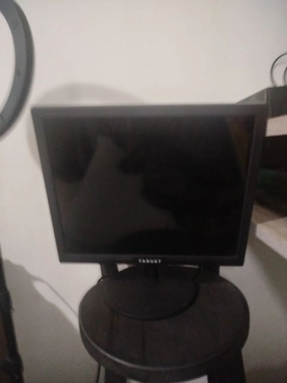Monitor 