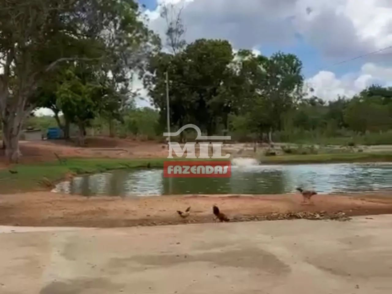 Chácara de 1,5 alqueires (7,26 hectares) em Nova Crixas-GO - Foto 3