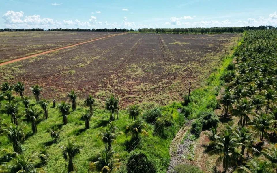 Terenos - Chácara - Zona Rural - Foto 2