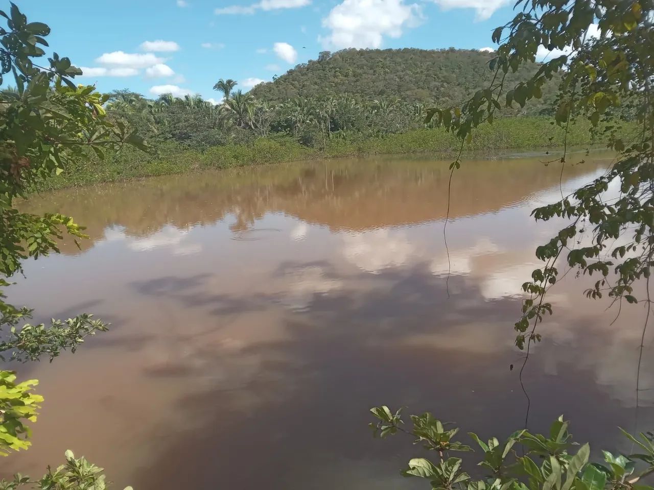 Fazenda Sertão Verde - MA, 72 ha - Foto 3
