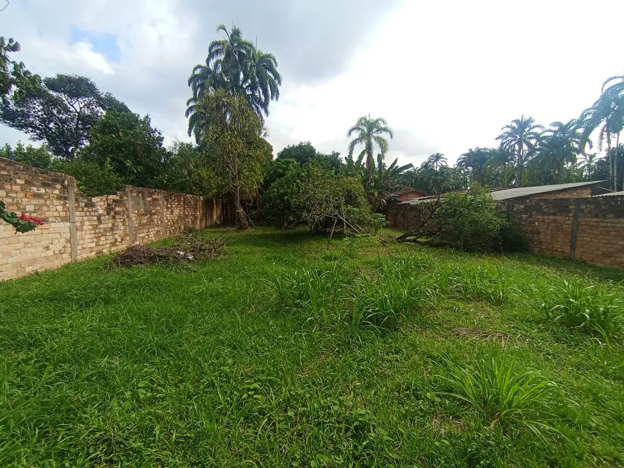 TERRENO GRANDE - Foto 3