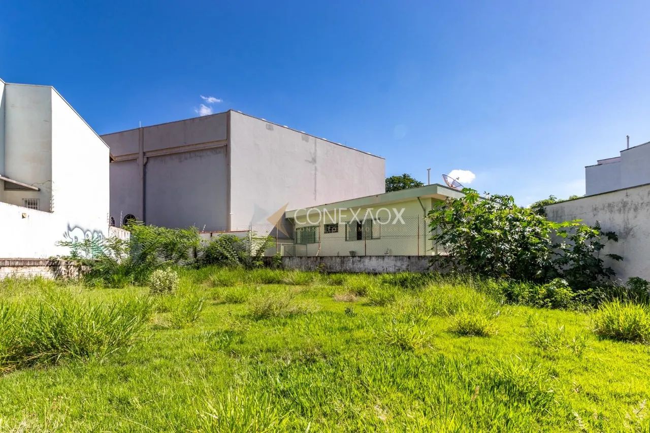 terreno - Jardim Paraíso - Campinas - Foto 5