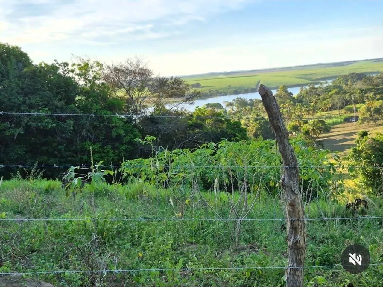 Granja em Alhandra - Foto 2