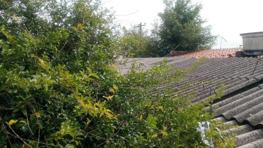 TERRENO VILA MINEIRÃO - Foto 5